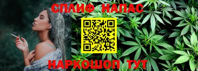 СК Славгород