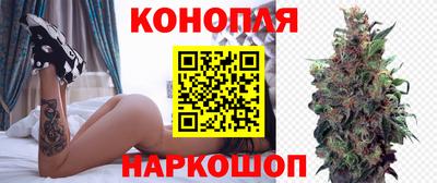 СК Славгород