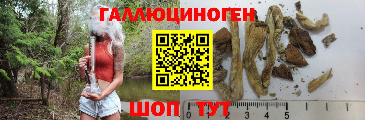 Псилоцибиновые грибы мицелий  Вход с VPN  купить наркотик  Обь 